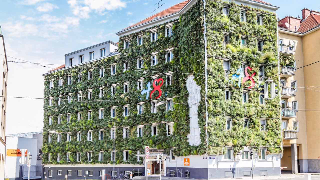 Toro Fassasdenbewaesserung