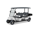 IcoCar Shuttle 4 Cargo 3.0