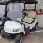 IcoCar Birdie Fleet Lithium