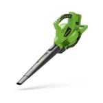 Greenworks - Laubbläser - GD24X2BV